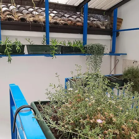 Appartement Il Ghiro 2.0 Casa Vacanze San Martino sulla Marruccina